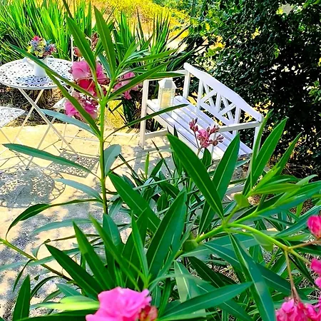 Kabakum Tatil Evi Varna